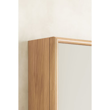 Viola-Look Wall-Hung Vanity Package